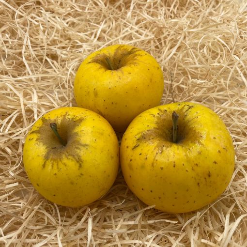 Immagine di MELE GIALLE MISTE