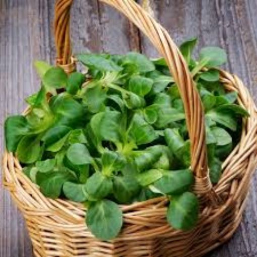 Immagine di Valeriana 0,5 kg