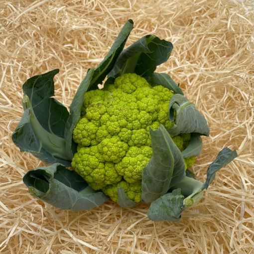 Immagine di cavolfiore verde