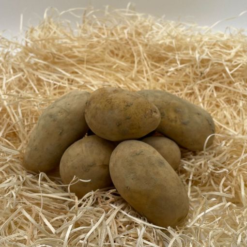 Immagine di Patate bianche Val di Gresta