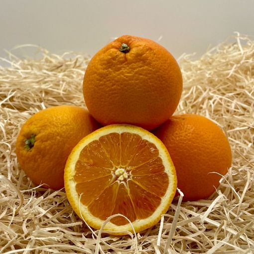 Immagine di 5 KG ARANCE BIONDE