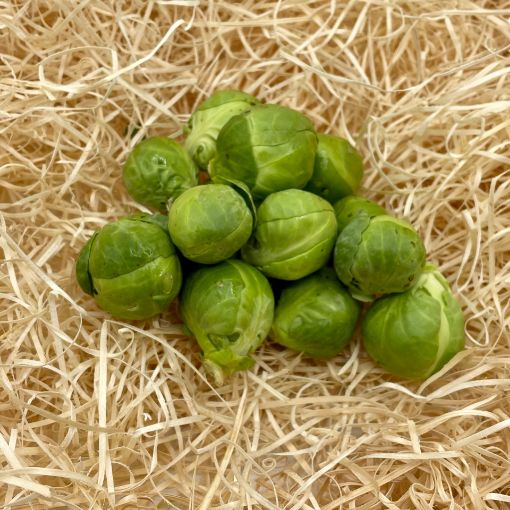 Immagine di Cavolini Bruxelles