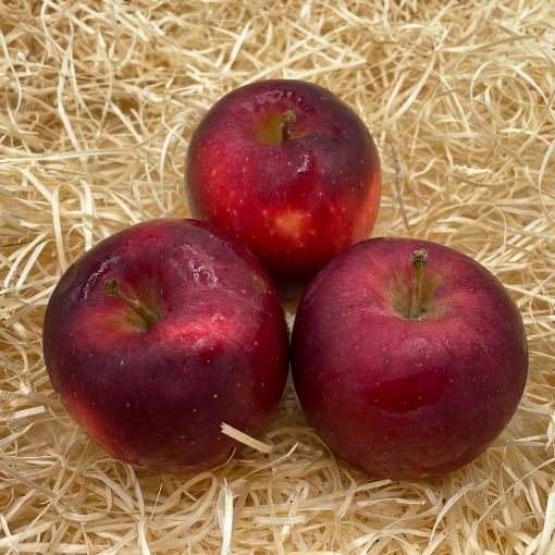 Immagine di MELE ROSSE MISTE