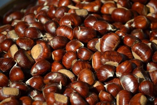 Immagine di CASTAGNE
