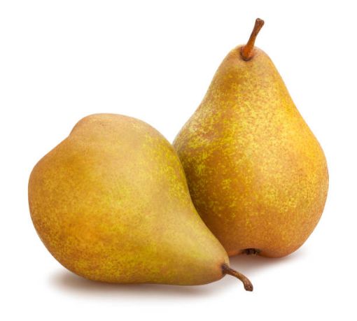 Immagine di PERE CONFERENCE