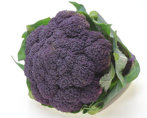 Immagine di Broccoletto Viola