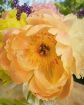 Immagine di Mazzo 6 Peonie