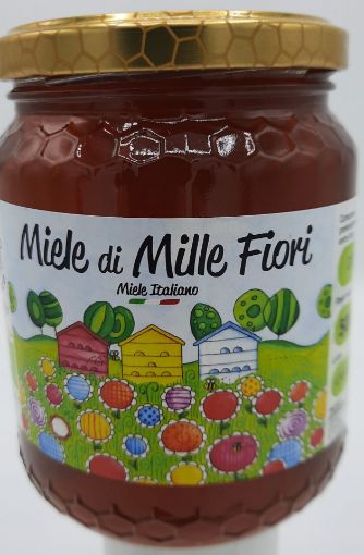Immagine di MIELE MILLEFIORI 0,5 KG