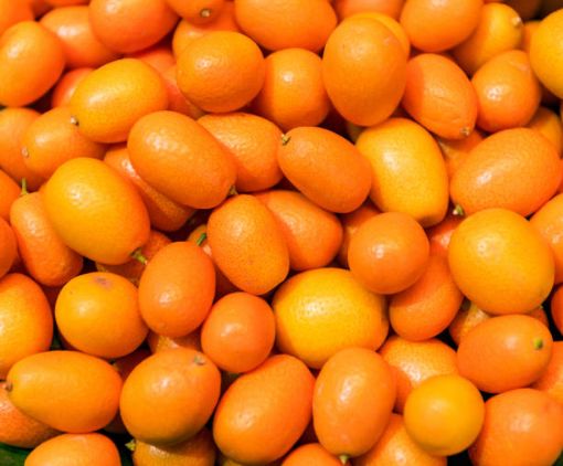 Immagine di KUMQUAT