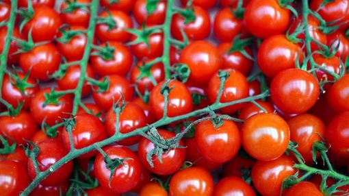 Immagine di Pomodoro Ciliegino