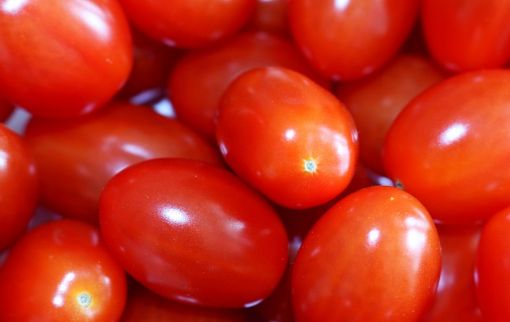 Immagine di Pomodori datterini