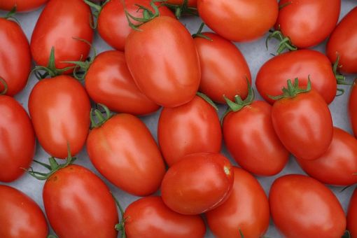 Immagine di Pomodoro da sugo