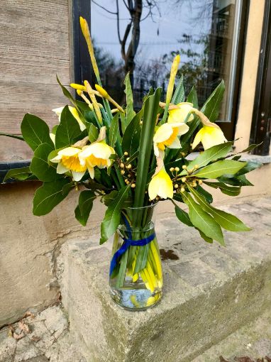 Immagine di PRIMIZIA