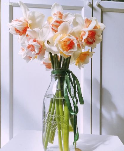 Immagine di "GLI STRADOPPI"