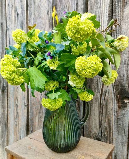 Immagine di Mazzo Lime