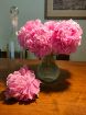 Immagine di Mazzo 6 Peonie