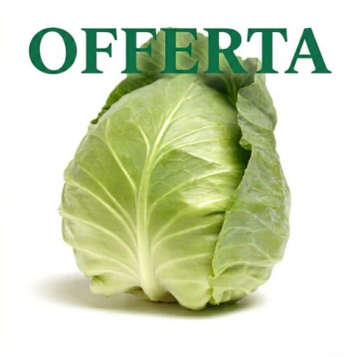 Immagine di Cavolo cappuccio a punta