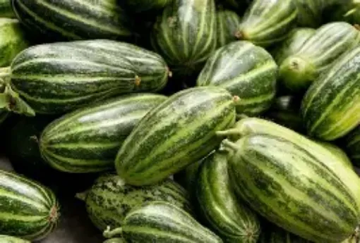 Immagine di CETRIOLO CAROSELLO