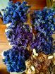 Immagine di STATICE BLU (essiccato)